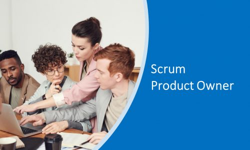 Scrum Product Owner