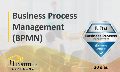 Business Process Management (BPM)
