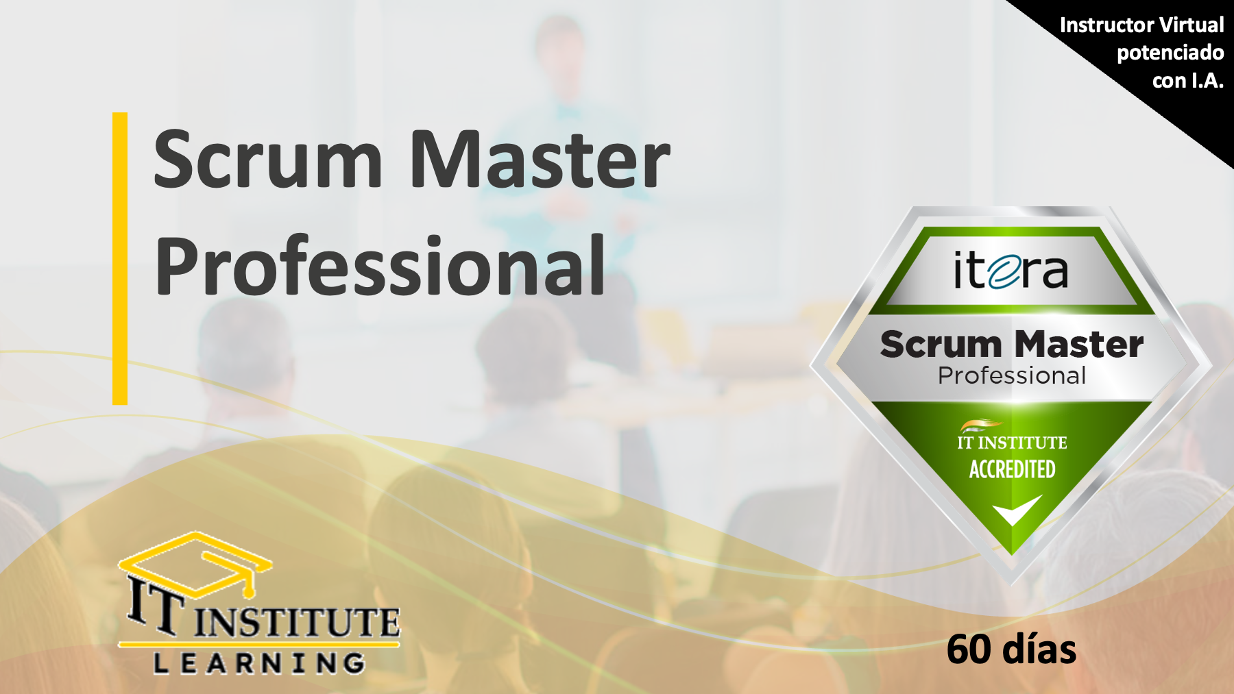 Scrum Master Professional