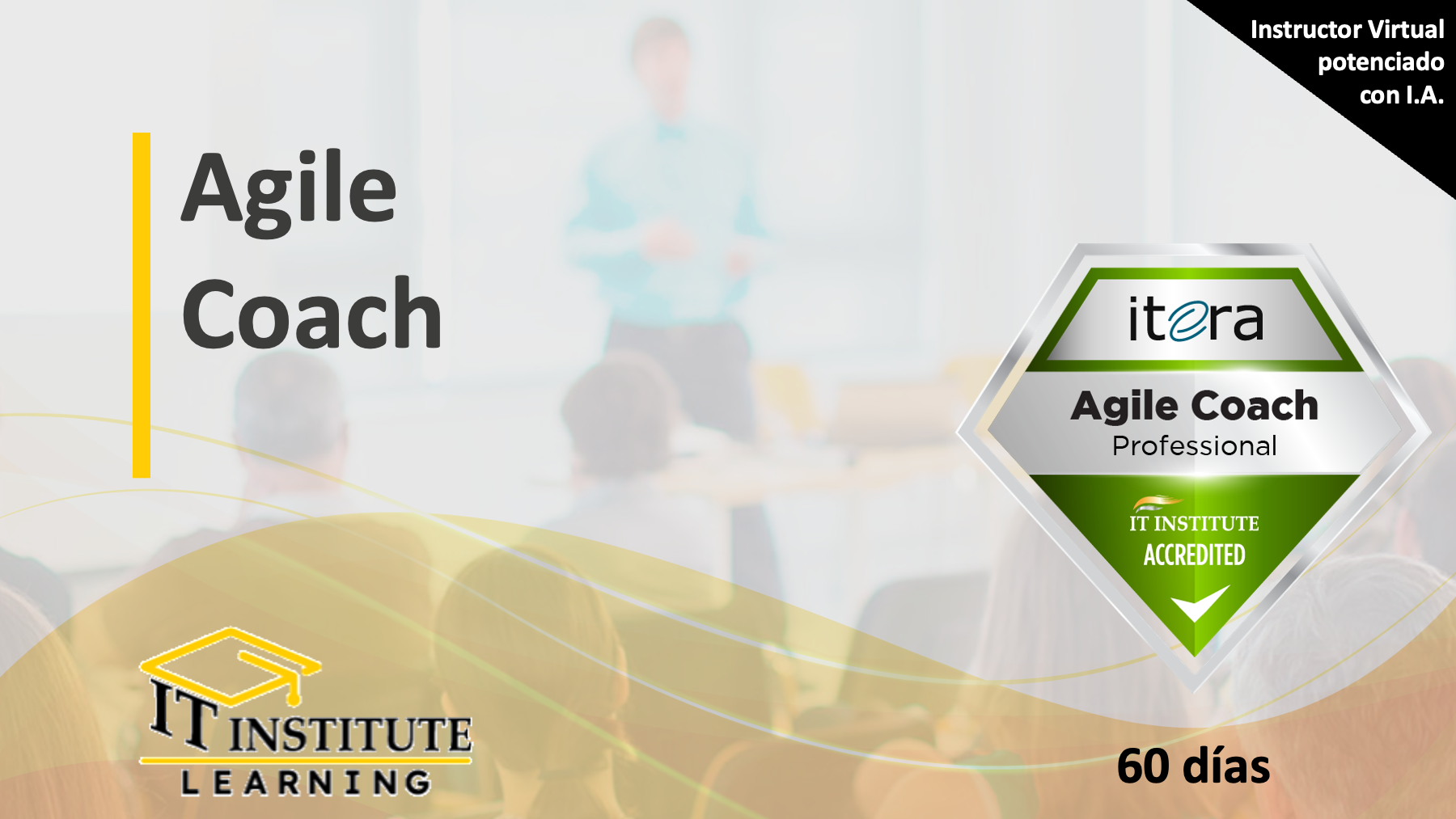 Agile Coach