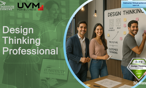 Design Thinking Professional