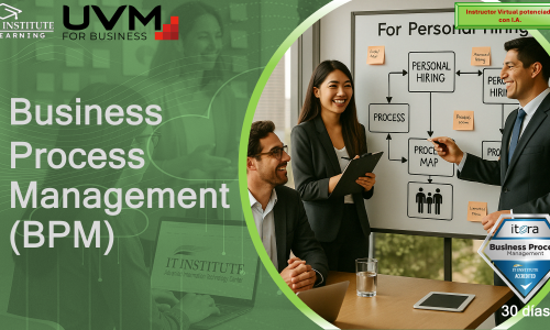 Business Process Management (BPM)