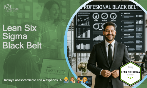 Lean Six Sigma Black Belt