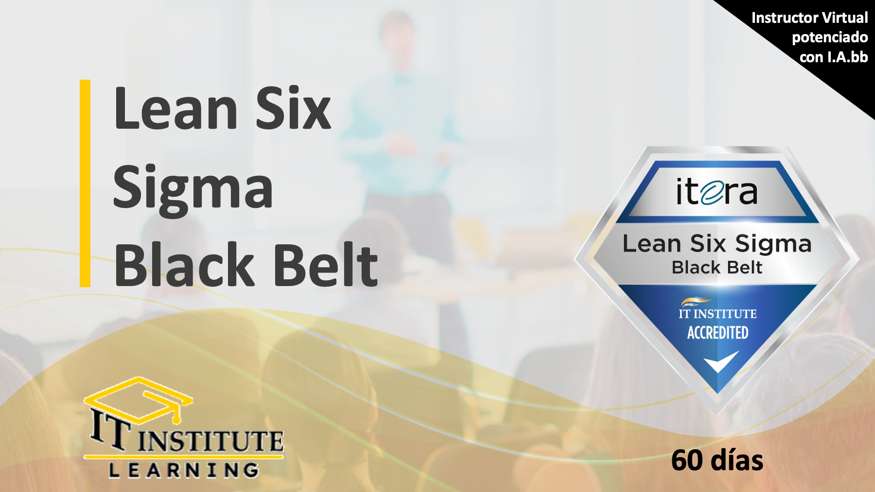 Lean Six Sigma Black Belt